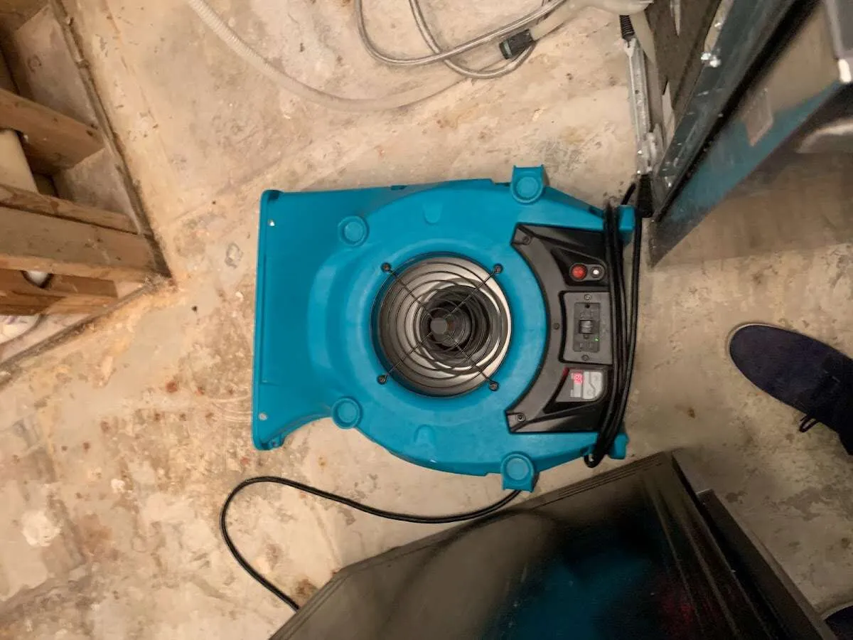 Air mover drying equipment for Mold Remediation & Removal in Toccoa